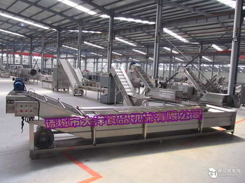 自動海帶清洗機(jī) 裙帶菜清洗機(jī)械價格,產(chǎn)品報價