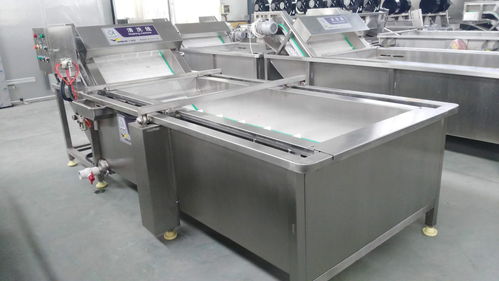 萬利源紅棗清洗烘干與姑娘果清洗去皮機(jī) 食品機(jī)械設(shè)備的洗滌革新